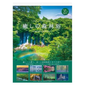 【2026年カレンダー・手帳】APJ 癒しの森林浴(森の香り付) 壁掛けカレンダー