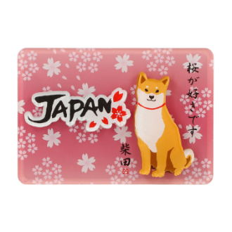 [クイックセット] マグネット　さくらだしばた  5個セット