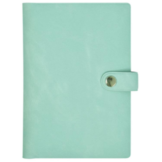 お薬手帳&カードホルダー ソフトグリーン