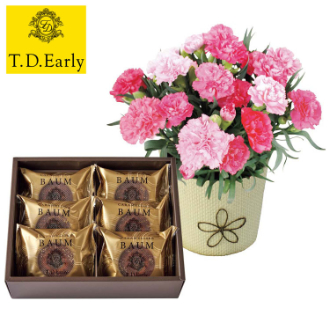 [母の日ギフト]カーネーション（ホットハート）とT.D.Early キャラメリゼバウム B40-1 81003