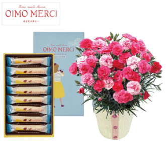 [母の日ギフト]カーネーション（さくらもなか）とOIMO MERCI ラングドロール C40-1 81004