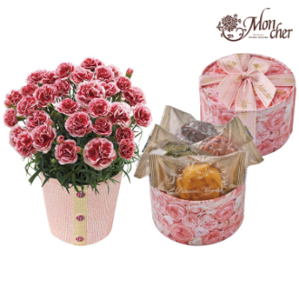 [母の日ギフト]カーネーション（いちごホイップ）と「パティスリー モンシェール」エタニティーローズ C40-2 81008