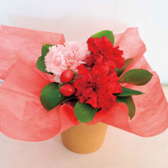 [母の日ギフト]アレンジメント（イチゴミルク） T-4 81028