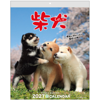 【2027年カレンダー・手帳】森田米雄・まるごと柴犬/ 壁掛けカレンダー