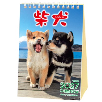 【2027年カレンダー・手帳】森田米雄・まるごと柴犬/ 卓上カレンダー