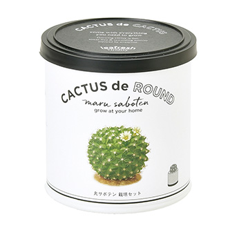 CACTUS de CACTUS（カクタスdeカクタス） 丸サボテン