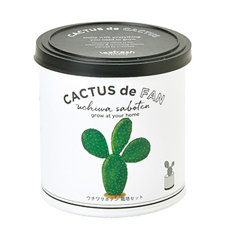 CACTUS de CACTUS（カクタスdeカクタス） ウチワサボテン