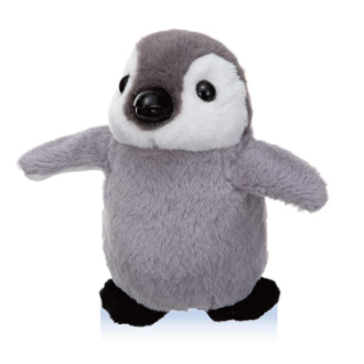 よちよち歩きのちぃぺんちゃん