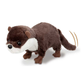 カワウソコツメちゃん